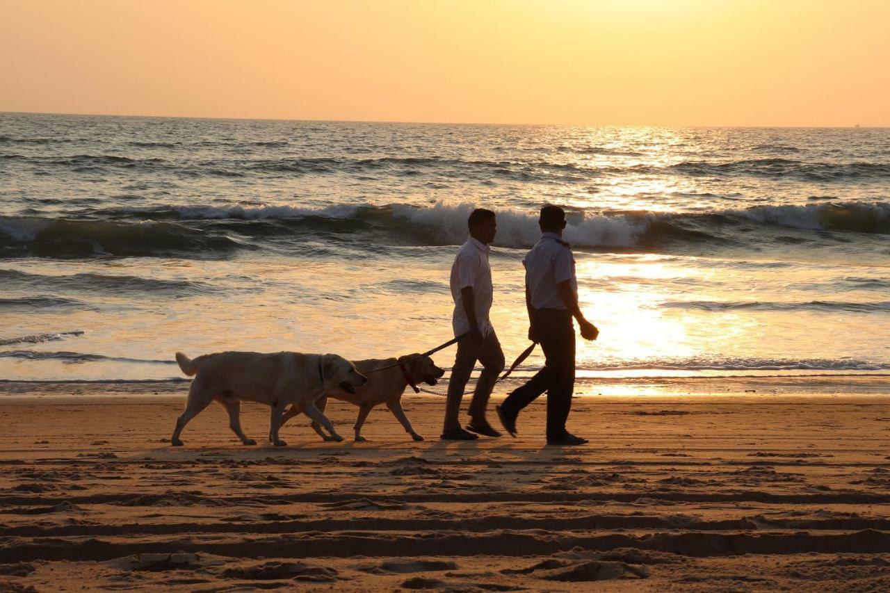 Peravel Beach Holiday Home Candolim Eksteriør bilde